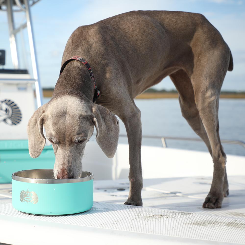 Non-Tipping | Non Spill Dog Bowls - With Lid Dog Drinking On Boat