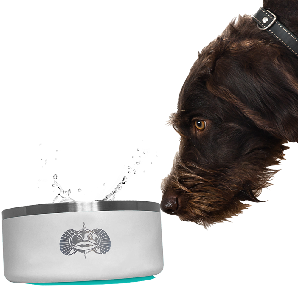 Non-Tipping | Non Spill Dog Bowls - With Lid Dog in Shot