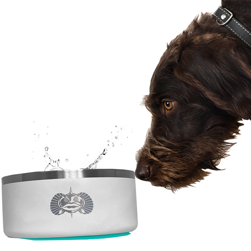 No flip dog bowl clearance