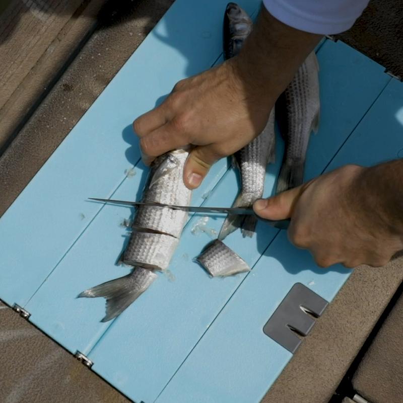 Stowaway Folding Cutting Board