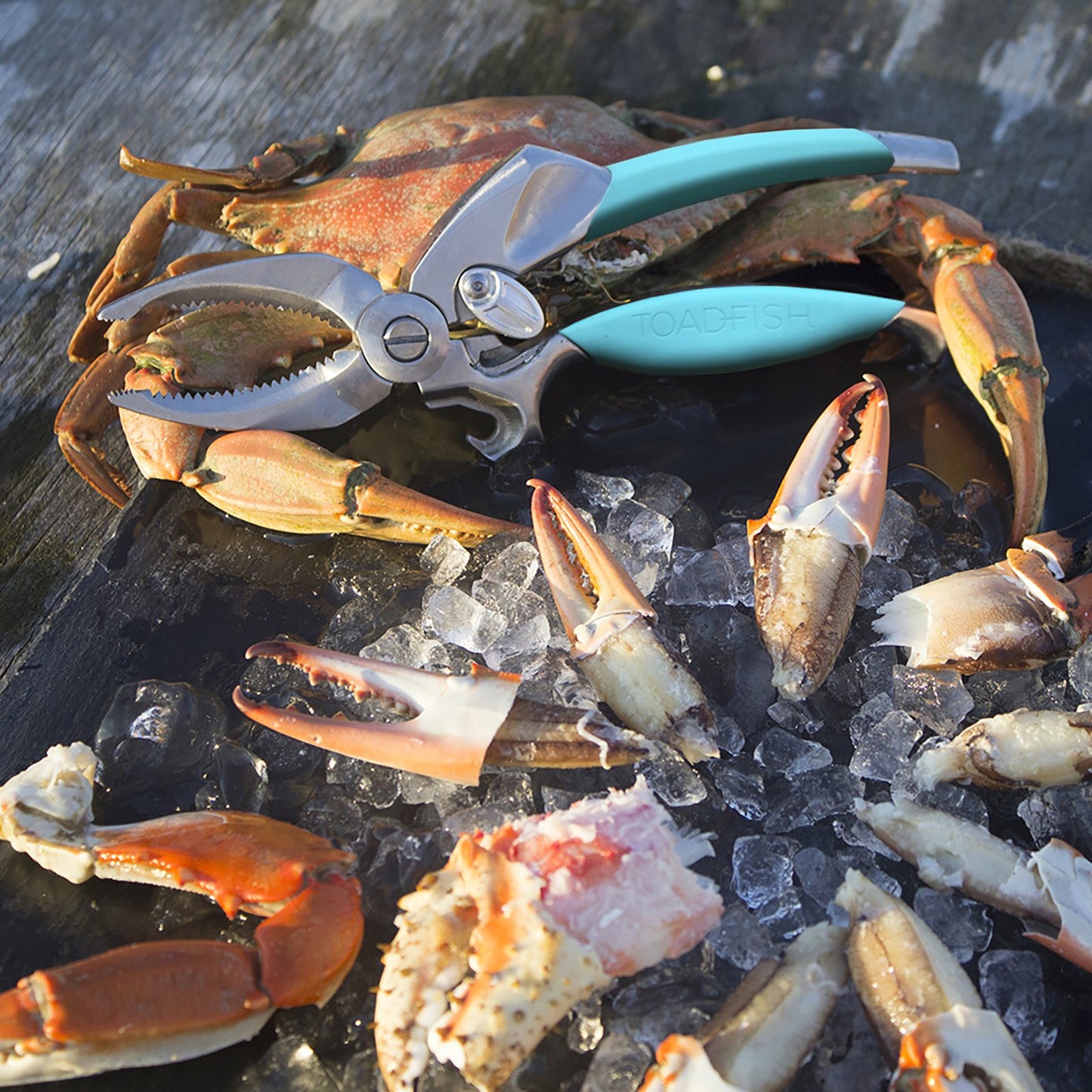 crab claw cracker cutter professional quality