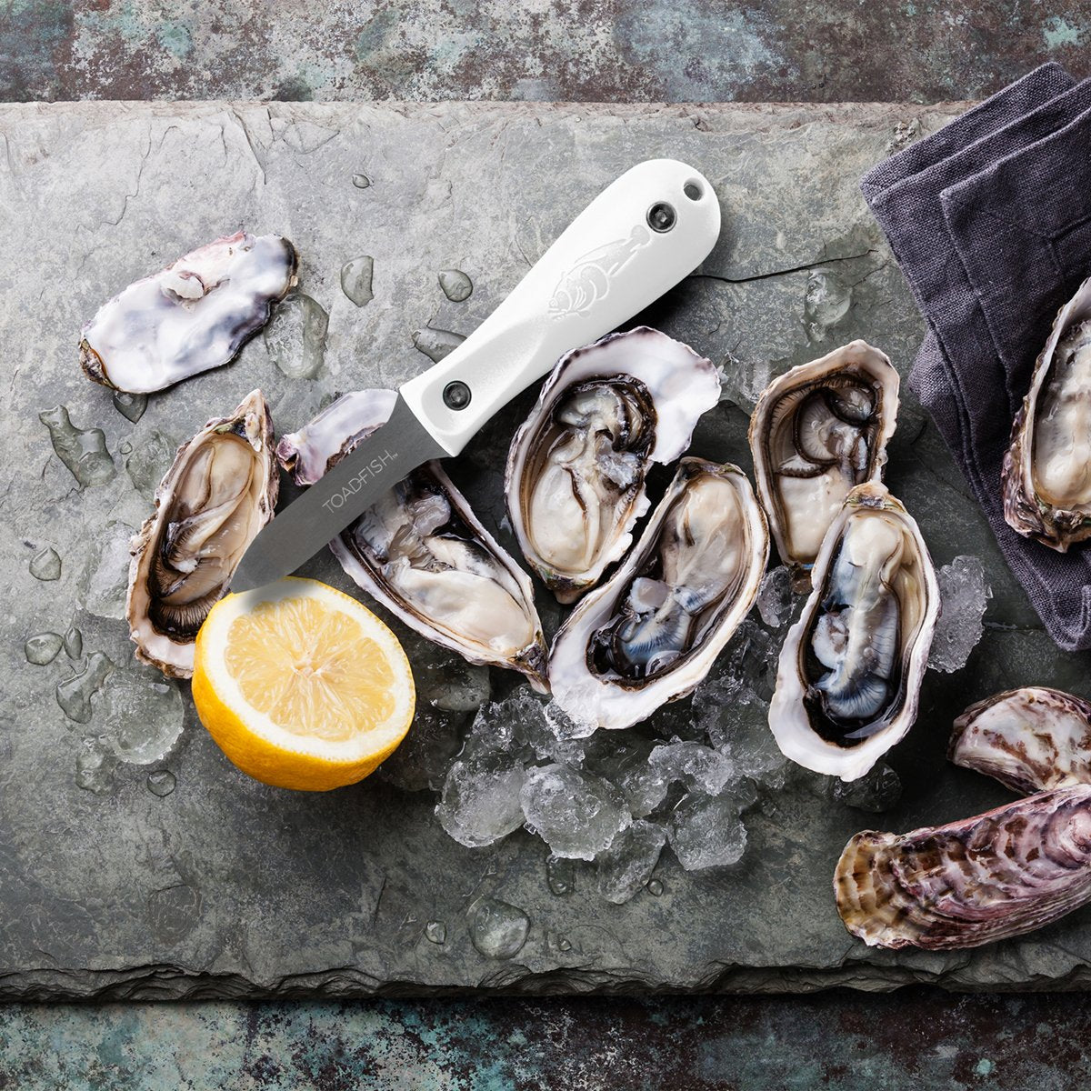 commercial oyster knife shucker