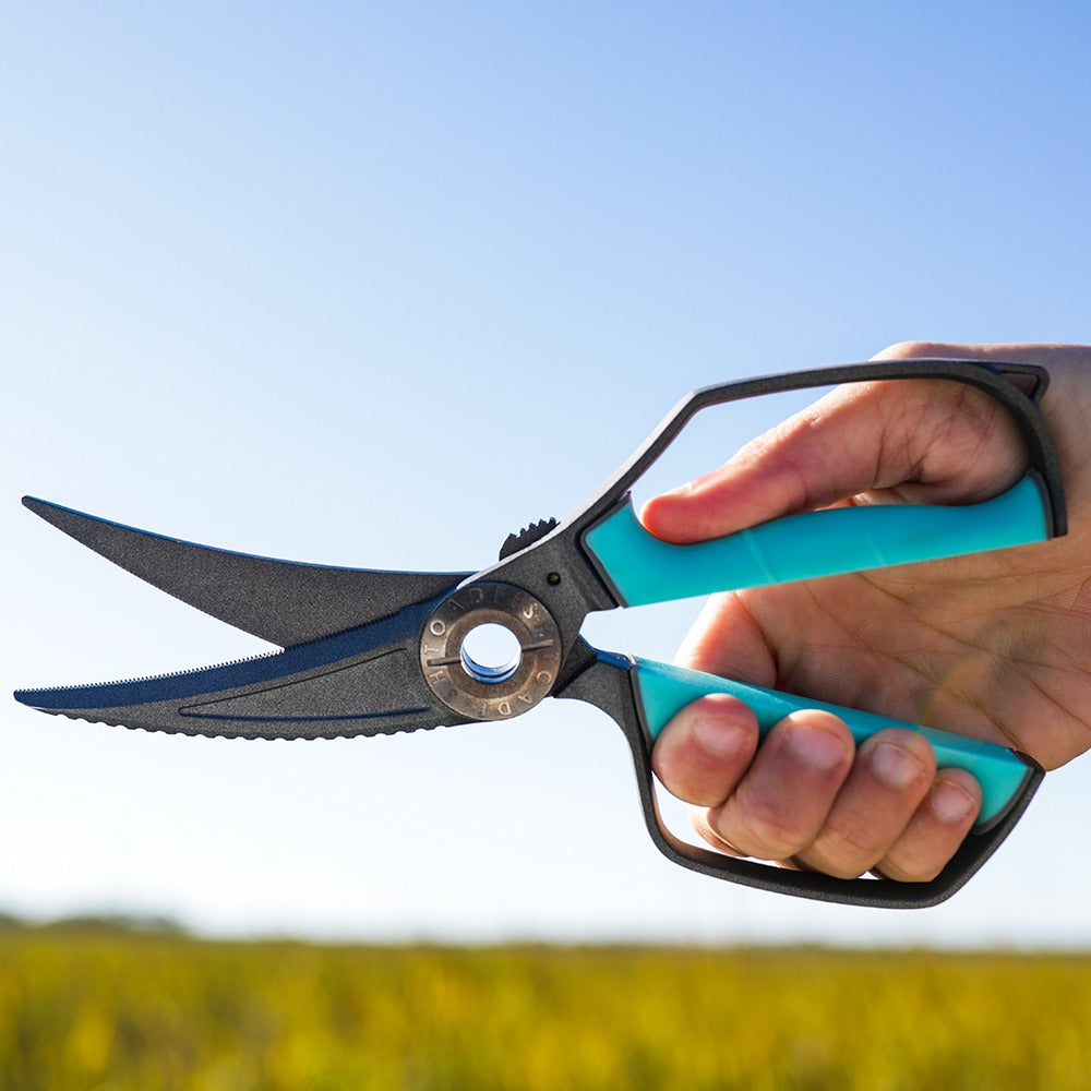 Ultimate Shears