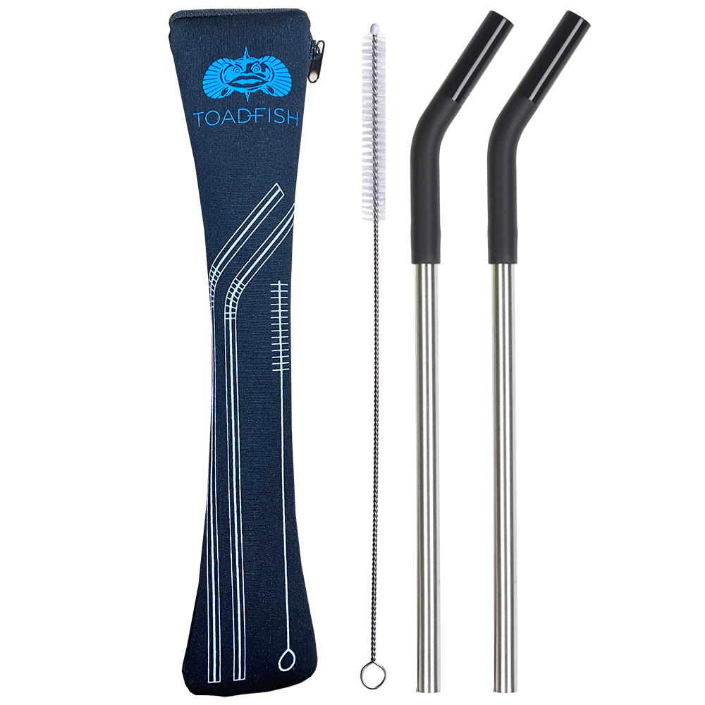 Toadfish 2 Pack Stainless Steel Straws w/ Case & Cleaner