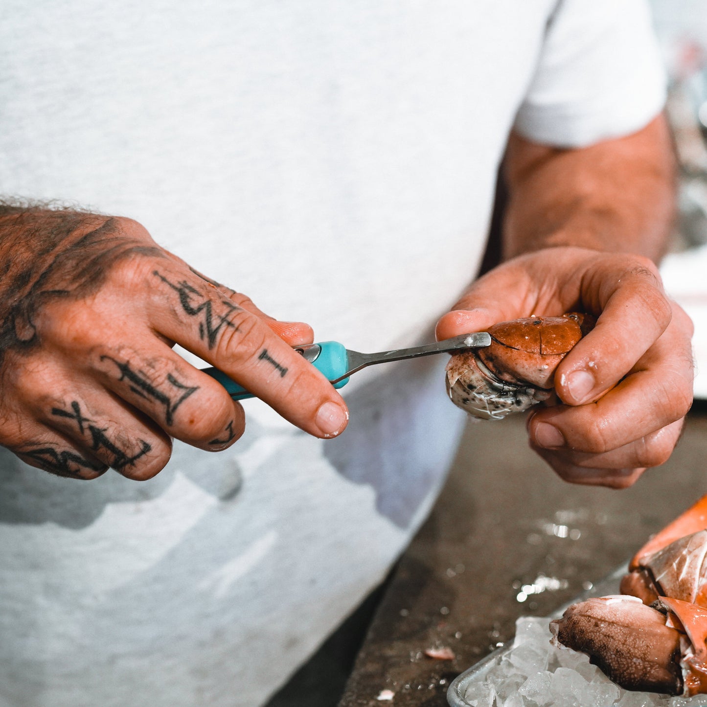 2 Pack Crab Mallet