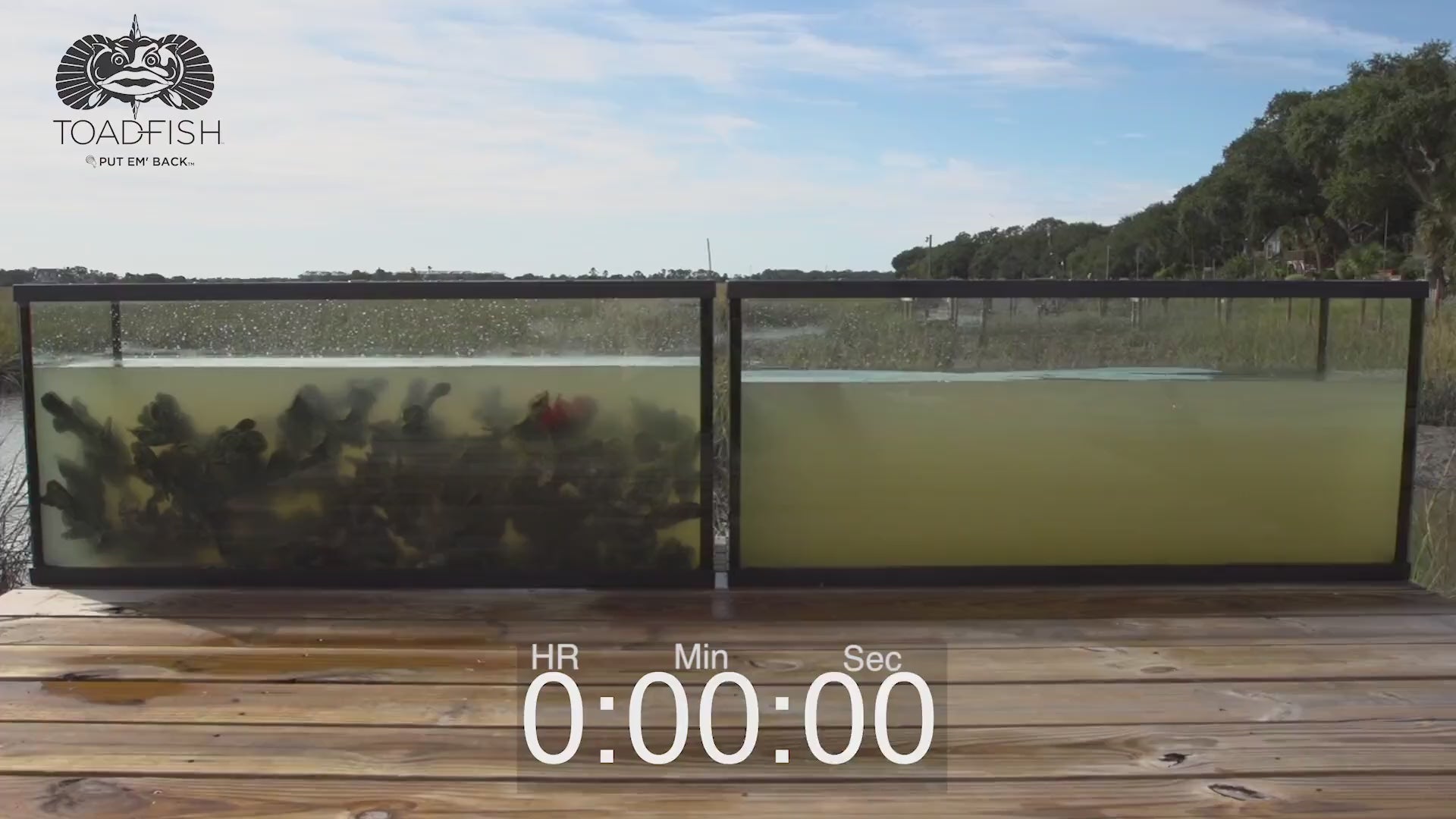 Load video: 