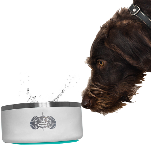 Non-Tipping | Non Spill Dog Bowls - With Lid Dog in Shot