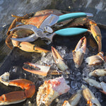 crab claw cutter